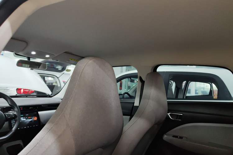 Used Leapmotor T03 2022 Agate Edition Headliner