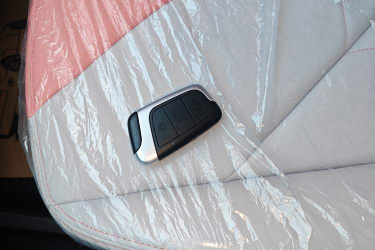 Used Chery QQ Little Ant 2024 Revised Version Youth Edition 251 km True Love Edition 25.05 kWh
