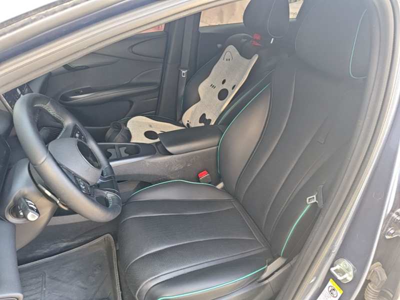 Used BYD Dolphin 2025 Intelligent Driving Version 410 km Fashion Edition — 14