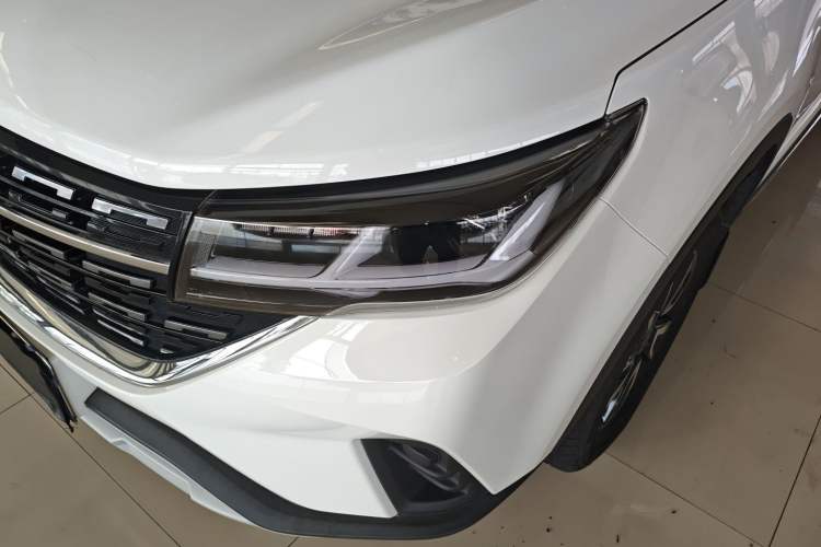 Used FORTHING T5 2022 Grand Edition 1.6L Manual Dream-Chasing Five-Seat Model