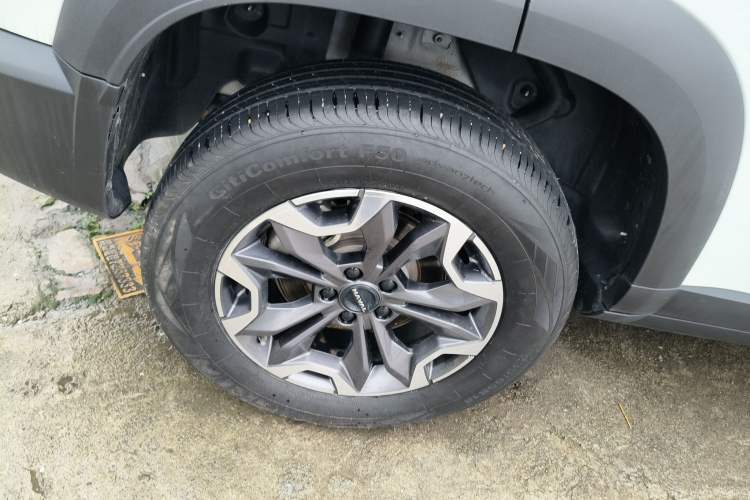 Used Haval DARGO 2024 2.0T DCT Chinese Rural Dog Edition