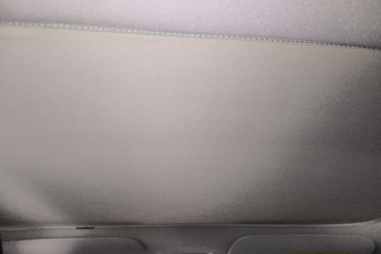 Used Tesla Model 3 2023 Rear-Wheel-Drive Version Headliner