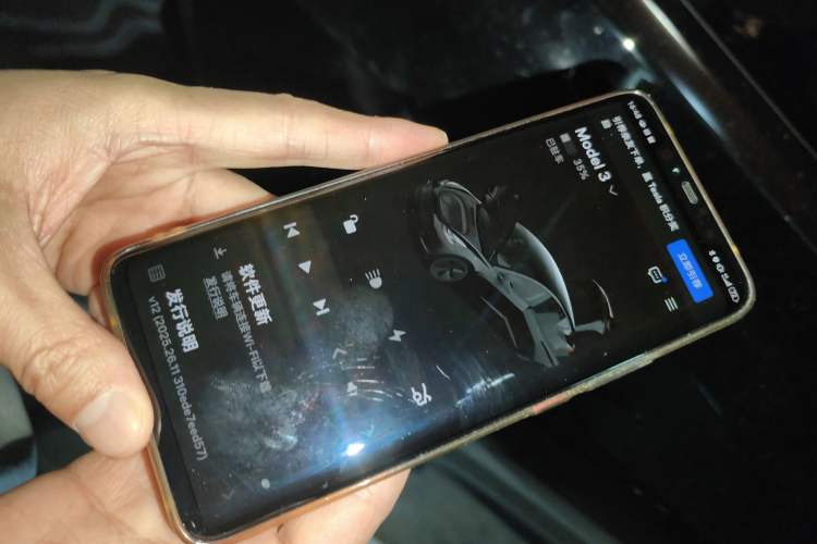 Used Tesla Model 3 2022 Rear-Wheel-Drive Version