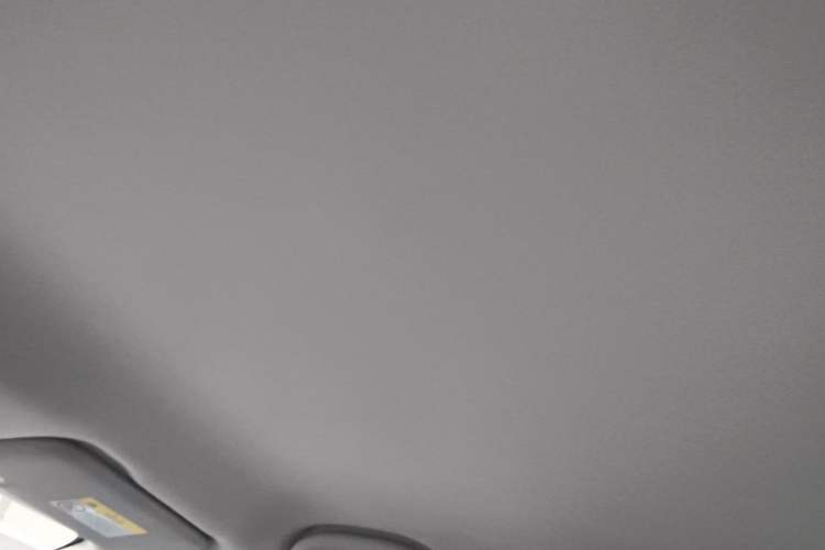 Used NETA V 2021 Standard Range Entertainment Version – Upgraded Model Headliner