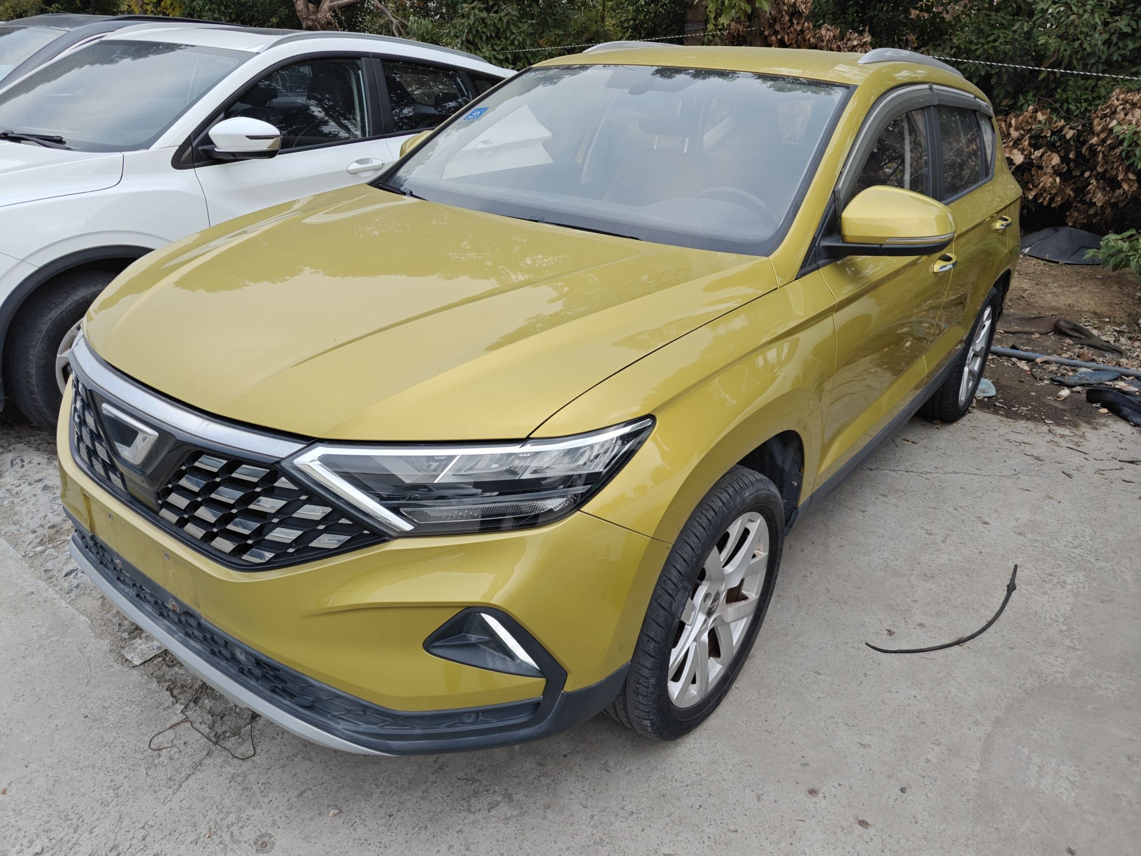 تحت مقدمة السيارة