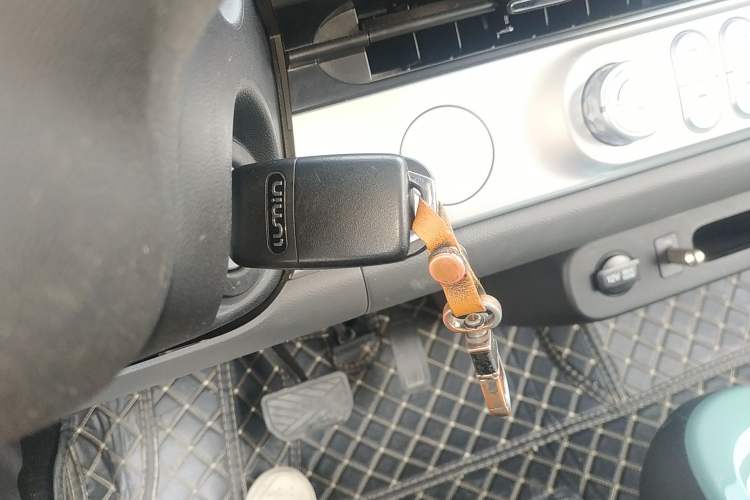 Used Qiyuan Lumin 2023 205km Xiangqin Version
