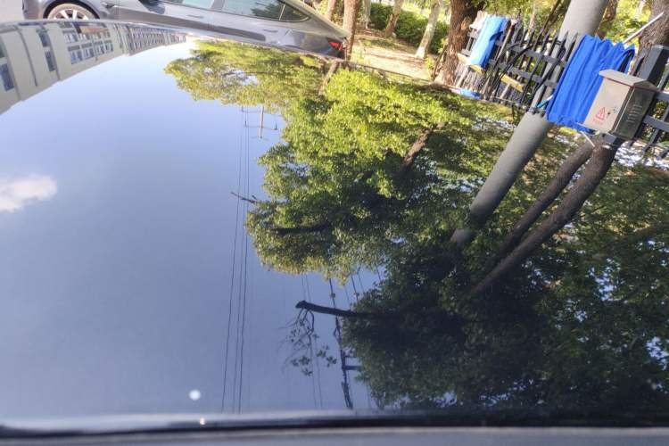 Used ORA Black Cat 2021 301 km Basic Version
