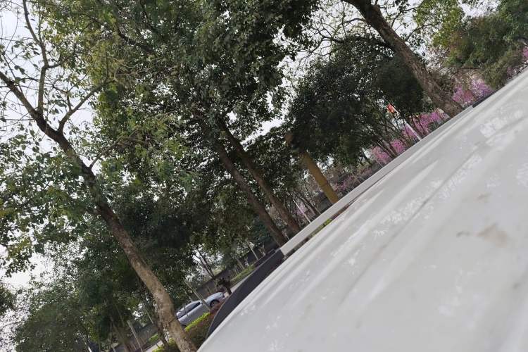 Used Dongfeng Fengon S560 2019 1.8L Manual Urban Model
