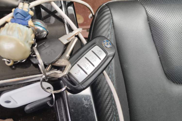 Used Venucia D60EV 2020 Standard Range Smart Drive Edition