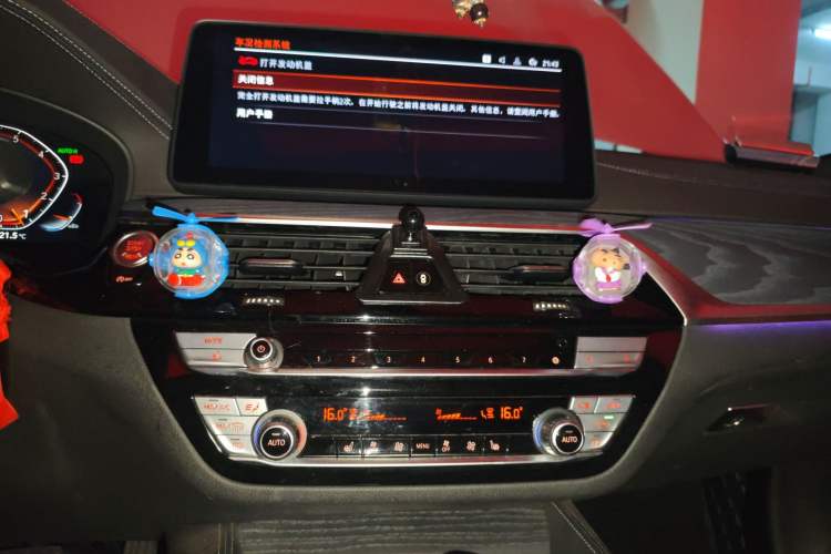 Used BMW 5 Series 2021 530Li Leading Model M Sport Package
