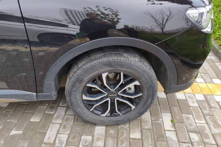 Used Haval H6 2023 National Trend Edition 1.5T Automatic Urban Version
