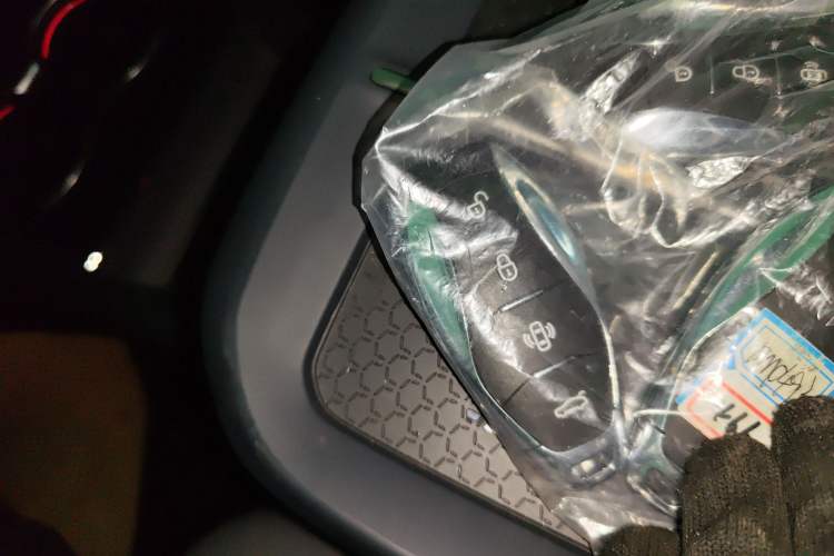 Used Hongqi EH7 2024 690 Pro
