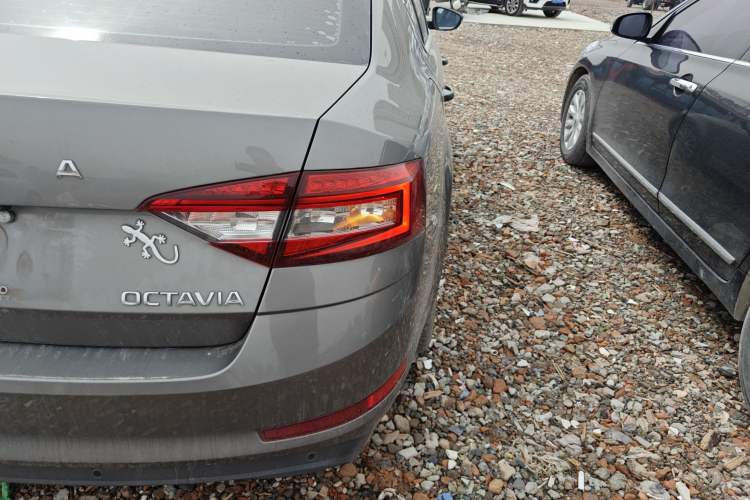 Used Skoda Octavia 2022 1.5L Automatic Comfort Edition Exterior 3