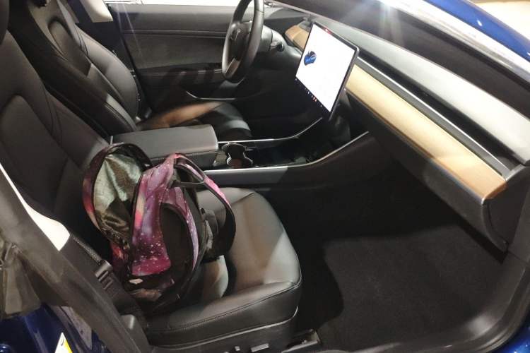 Used Tesla Model 3 2019 Standard Range Rear-Drive Upgraded Version