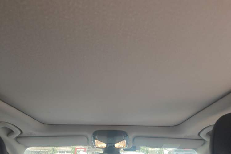 Used BMW 3 Series 2020 Facelifted 325Li M Sport Night Edition Package Headliner