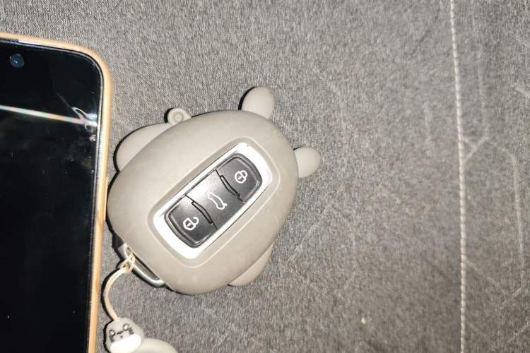 Used Geely Galaxy Panda 2024 Panda Mini 200km Endurance Bear