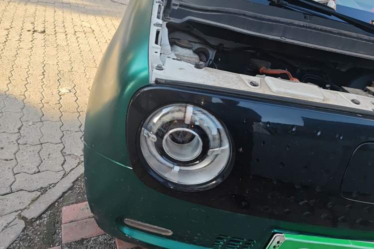 Used ORA Black Cat 2021 351 km Standard Version
