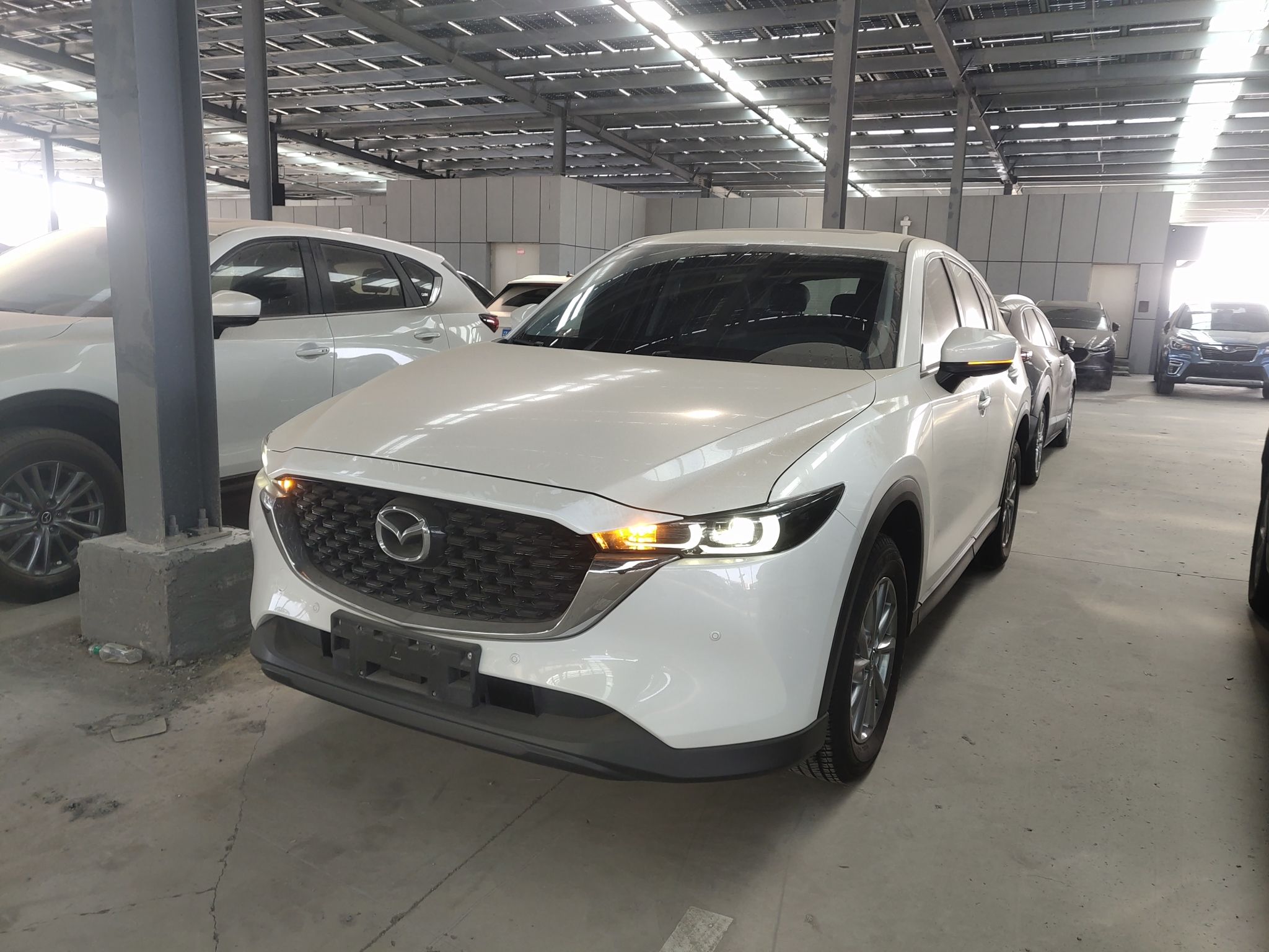 Parte inferior delantera