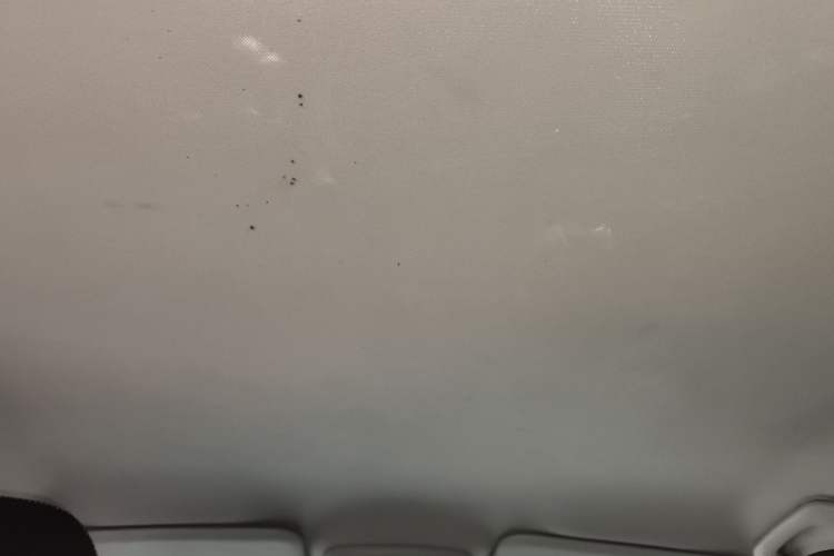 Used Renault Kadjar 2016 2.0L Two-Wheel Drive Comfort Edition