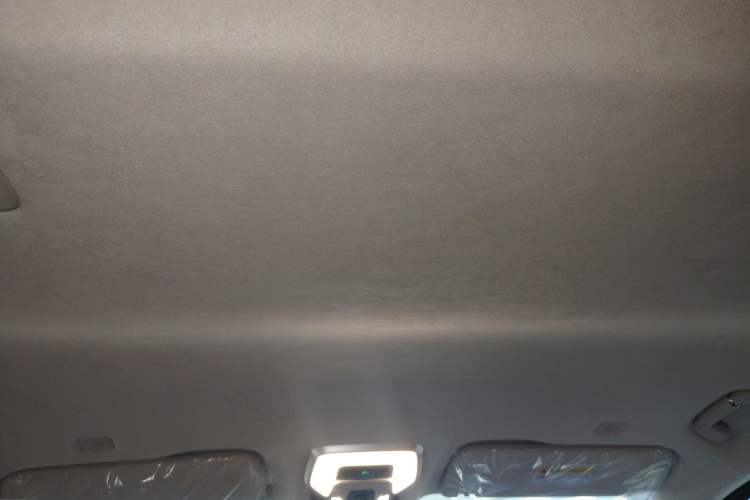 Used Hongqi HQ9 2023 2.0T Smart Connect Flagship Edition