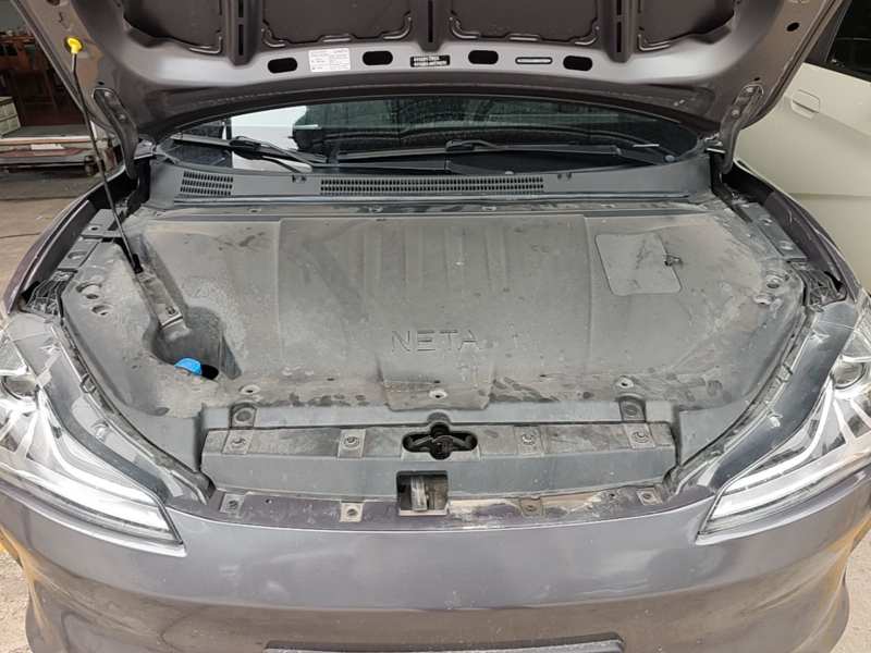 Used NETA V 2021 Long-Range Entertainment Edition Upgrade Model — 19