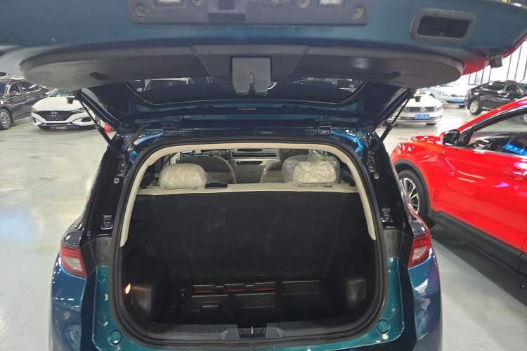 Used Dayun Yuehu 2023 300 Standard Edition Trunk