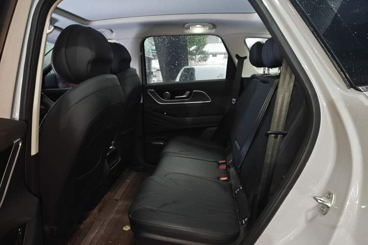 Used Chery Fengyun T9 2024 120 Long-Range Comfort Version 7-Seater Lithium-Ion Battery Left Rear Seat