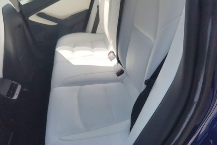 Used Tesla Model 3 2020 Revised Version Standard Range Rear-Wheel Drive – Upgraded Edition