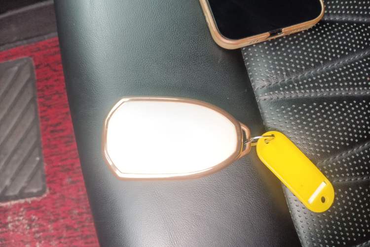 Used GAC Trumpchi GS8 2022 Linghang Series 2.0 TGDI Two-Wheel-Drive Luxury Smart Connectivity Version (7 Seats) Vehicle Key