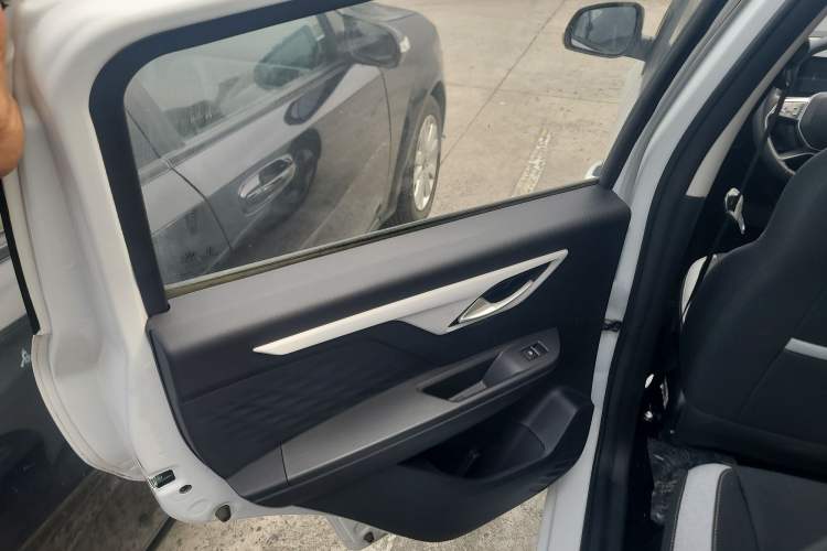 Used SOL E10X 2022 Flower Fairy Design Dandelion