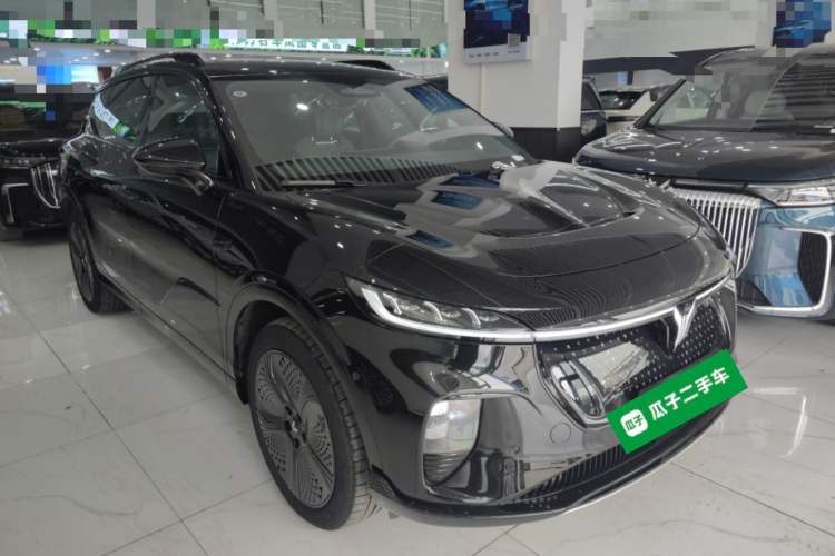 Used VOYAH COURAGE 2024 Four-Wheel Drive Global Edition