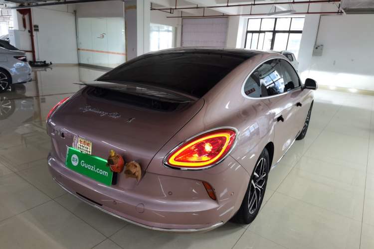 Used ORA Lightning Cat 2022 555 km Luxury Edition
