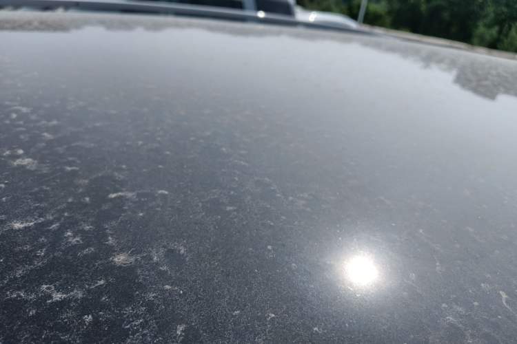 Used Land Rover Discovery Sport 2022 249 PS R-Dynamic S Performance Edition 5 Seats
