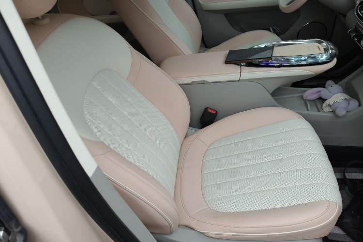 Used ORA Ballet Cat 2022 401 km Nutcracker Edition