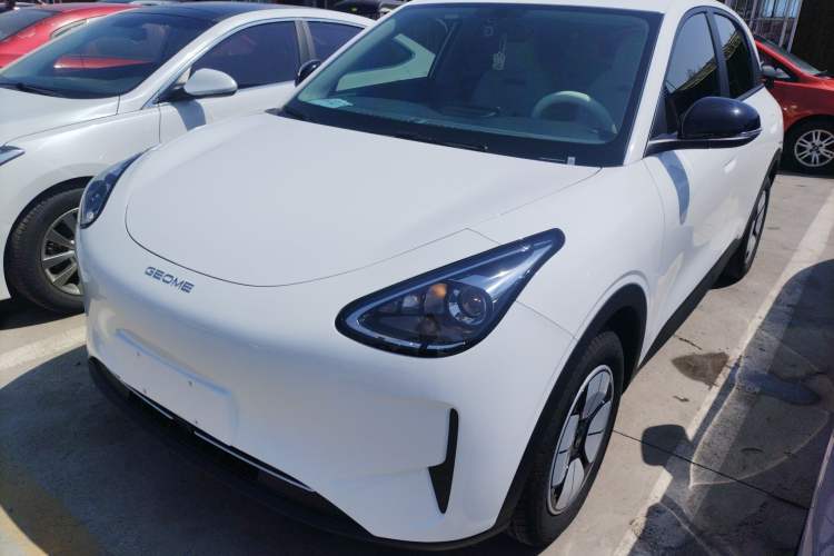 Used Geely Galaxy Geome 2025 310km Youth Edition