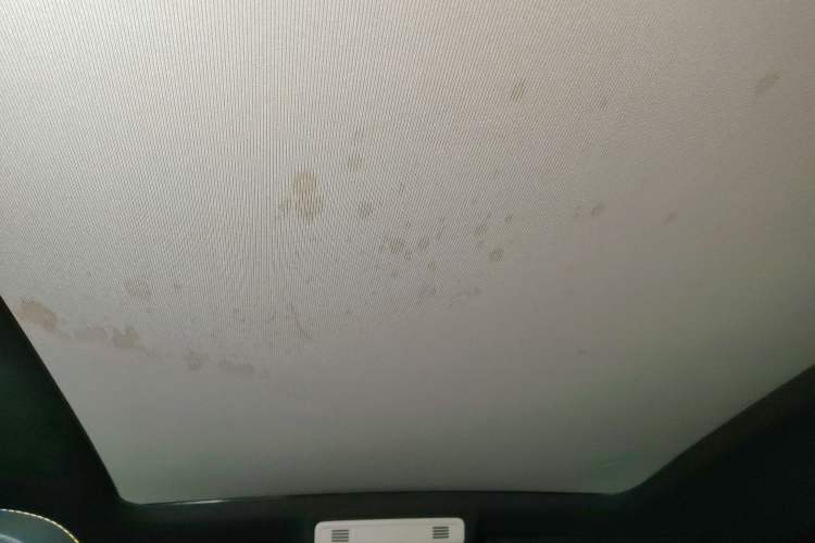 Used Volkswagen T-Cross 2019 1.5L Automatic Comfort Edition Headliner