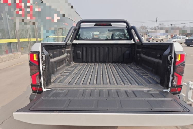 Used RELY Venucia R08 2025 Model 2.3T 8AT 2WD Diesel Long Cab Mountain & Sea Edition
