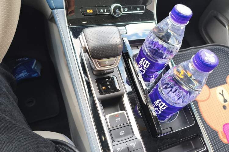 Used Rising ER6 2021 New Dynamic Edition 620km Smart Enjoyment Version