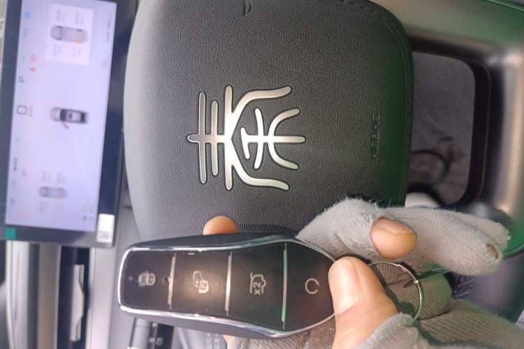 Used BYD Qin PLUS 2025 DM-i Smart Drive 120KM Superior Model