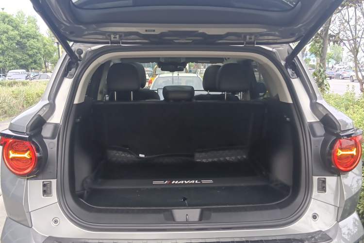 Used Haval H Dog 2023 2.0T Two-Wheel Drive Chaoye Version Plus Trunk