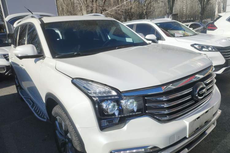 Used GAC Trumpchi GS8 2017 320T Two-Wheel Drive Luxury Smart Connectivity Version (7 Seats)
