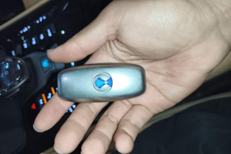 Used Denza D9 2022 DM-i 1040 Prestige Model