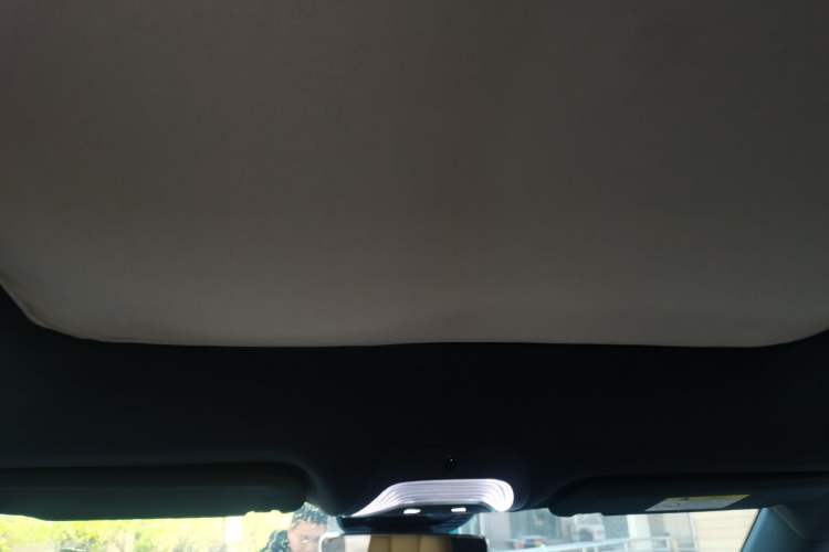 Used VOYAH FREE 2021 Four-Wheel Drive Standard Range-Extended Exclusive Luxury Package Headliner