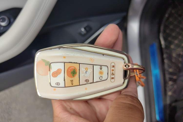 Used Geely Auto Monjaro L 2024 2.0TD High-Power Automatic Two-Wheel Drive Yunqi Version