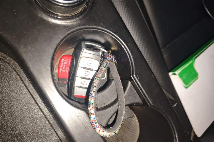 Used Great Wall Poer 2021 2.0T Commercial Version Manual Diesel 4x4 Elite Long-Box GW4D20M
