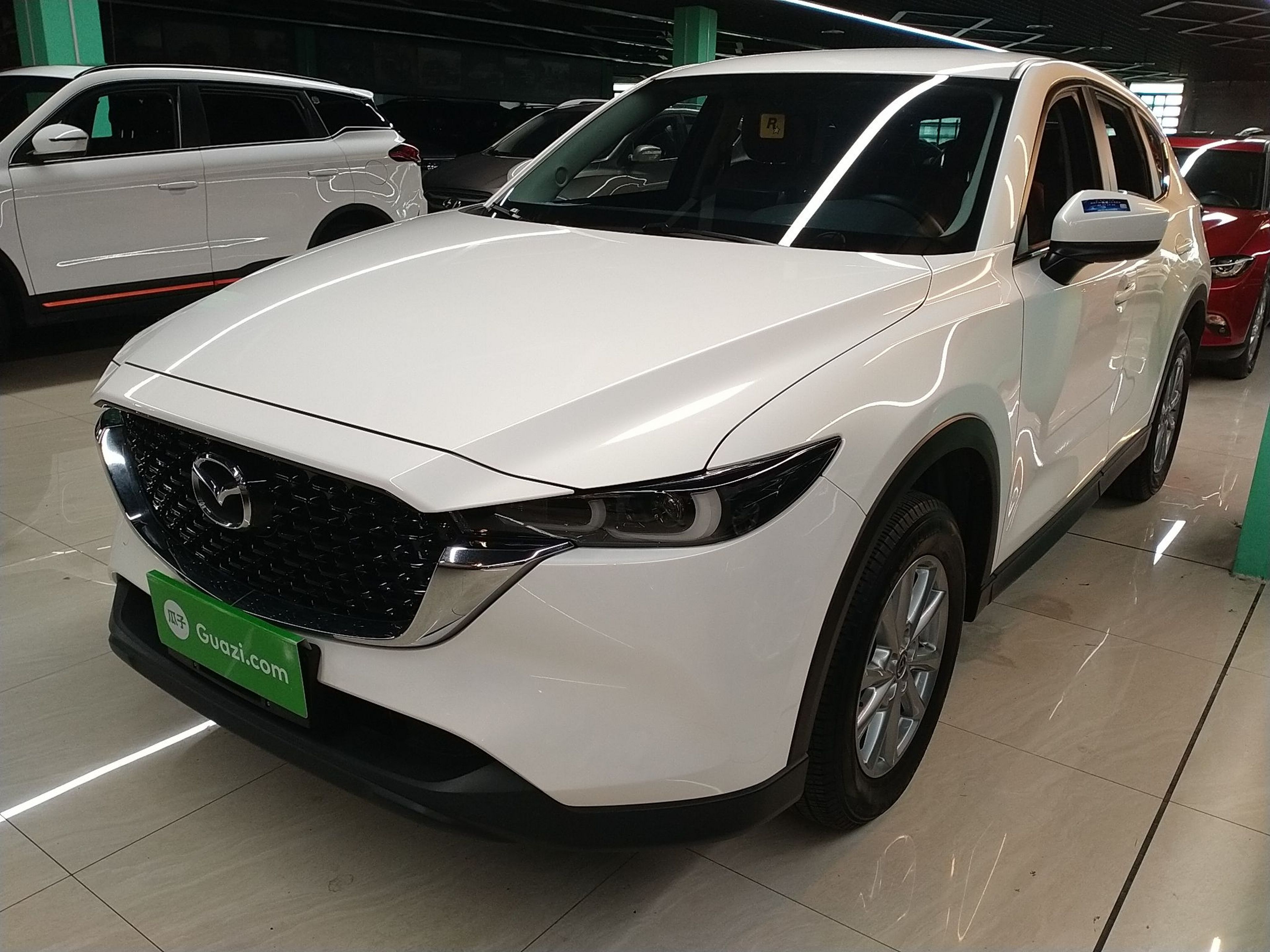 Parte inferior delantera