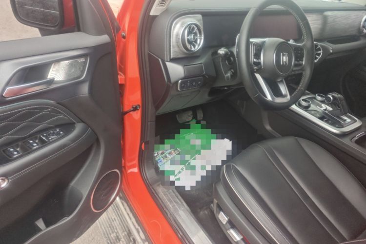 Used Tank 300 2024 2.0T Crosser
