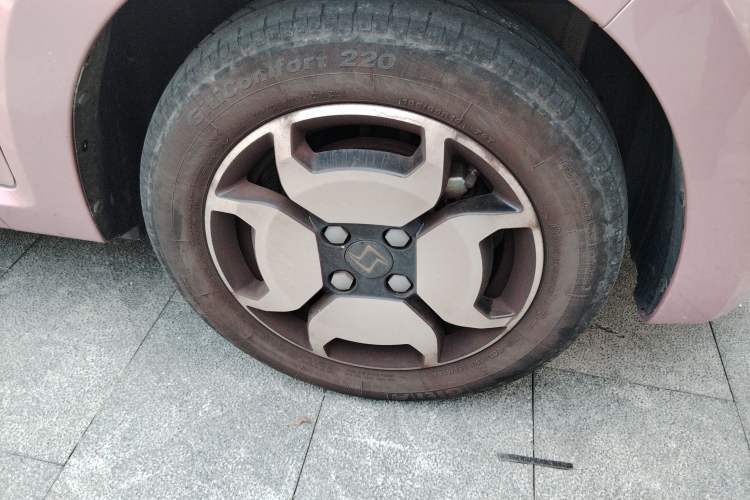 Used SOL E10X 2022 Flower Fairy Style Baby's Breath