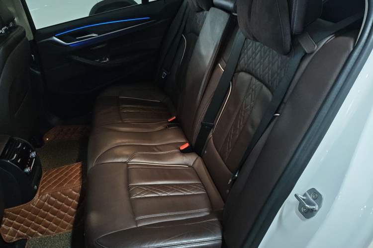 Used BMW 5 Series New Energy 2019 530Le Luxury Package Left Rear Seat