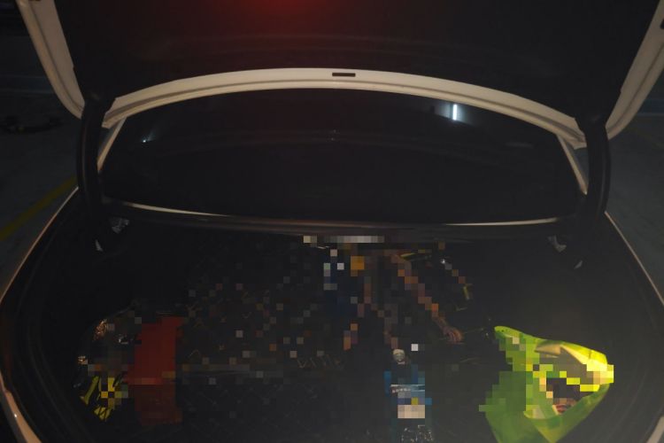 Used Mercedes-Benz C-Class 2019 C 260 L Sport Edition